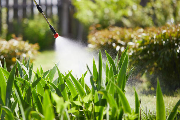 Tamper-Resistant Bait Stations for Rodents in Moodus