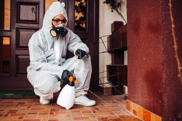 Attic and Crawl Space Rodent Treatment in Moodus