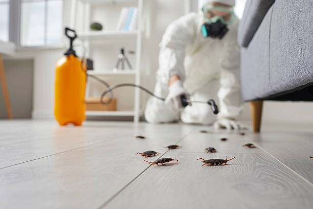 Commercial Rodent Management in Moodus